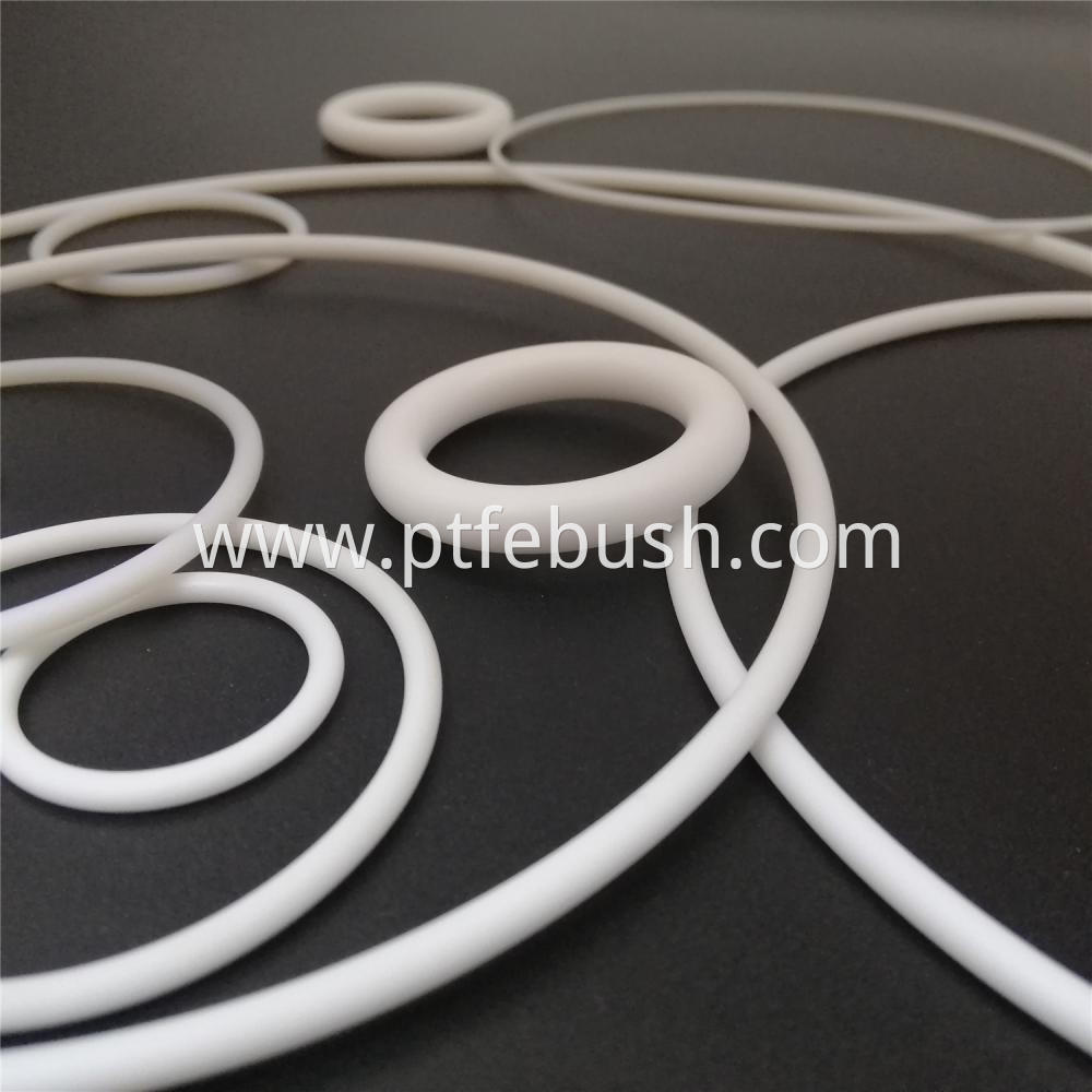 Ptfe O Ring 20